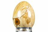 Polished Picture Stone (Jasper) Egg - South Africa #308873-1